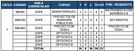 Plan de estudios - Décimo ciclo