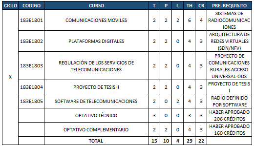 Plan de estudios - Décimo ciclo