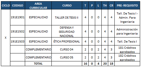 Plan de estudios - Décimo ciclo